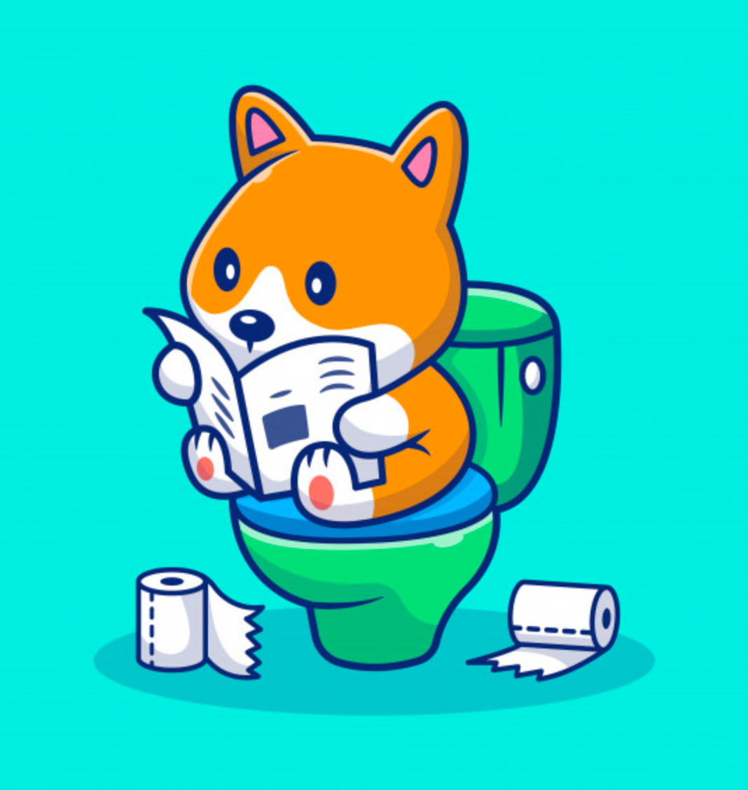 Lire dans les toilettes