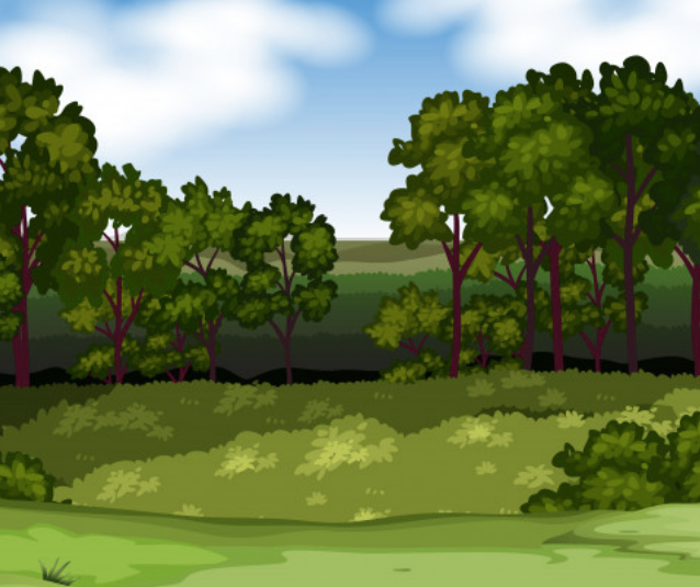 Les bois de Bouc étourdi